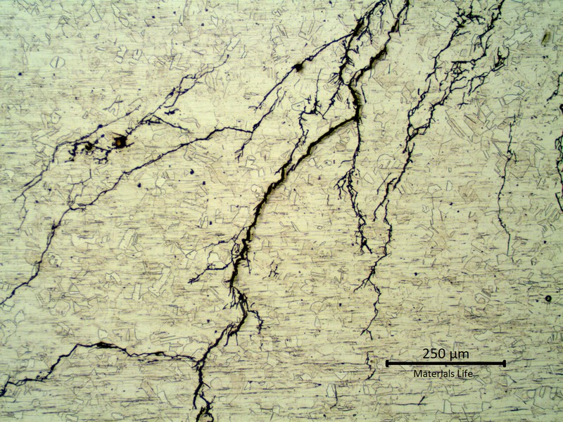 Micrography of the stub end longitudinal section, showing multiple branched transgranular cracks.