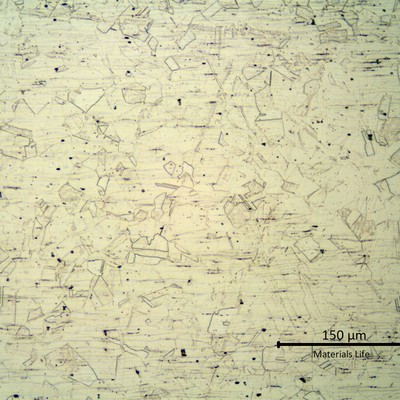 Micrography of a longitudinal section of the stub end showing a refined austenitic structure.