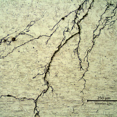Micrography of the stub end longitudinal section, showing multiple branched transgranular cracks.