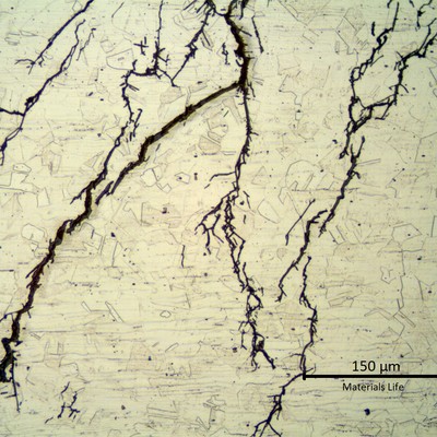 Micrography of the stub end longitudinal section, showing multiple branched transgranular cracks, typical of a Chloride Stress Corrosion Cracking mechanism.