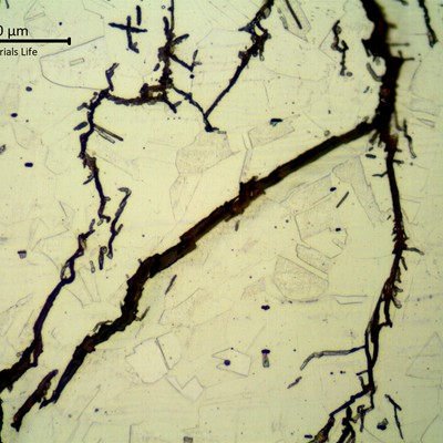 Micrographic details of the Chloride Stress Corrosion Cracks, transgranular and branched.