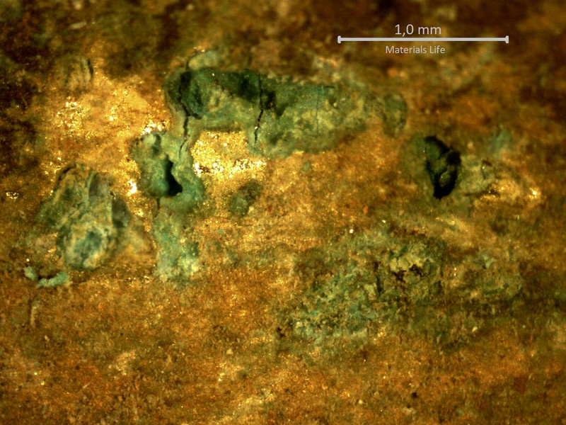 Detailed aspect, by a low magnification microscope, of the internal side of the tube with deposits.