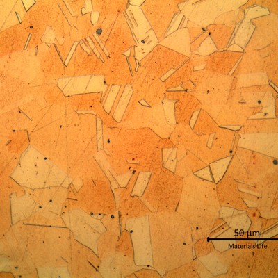Micrographic detail of the granular structure of the aluminum brass, monophasic alpha.