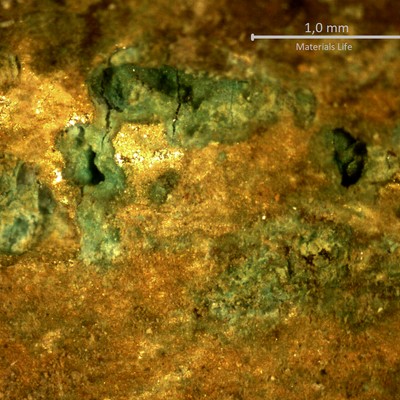 Detailed aspect, by a low magnification microscope, of the internal side of the tube with deposits.