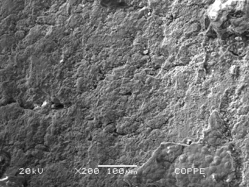 Detail by scanning electron microscop of the clamp surface showing several cracks, parallel.  In this image the cracks appear horizontal, but the photo was taken with the axis of the clamp in the vertical direction which means that the cracks are transverse to the axis.
