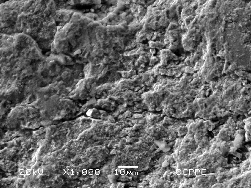 Detailed aspect of the previous figure showing the parallel cracks, transverse to the axis.