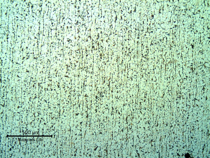 Metallographic image of a longitudinal section of the clamp (axis in the vertical direction), showing a refined ferritic perlitic structure.