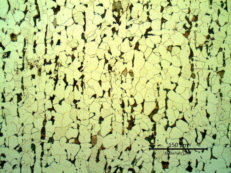Metallographic detail of the longitudinal section of the clamp with a ferritic pearlitic structure.