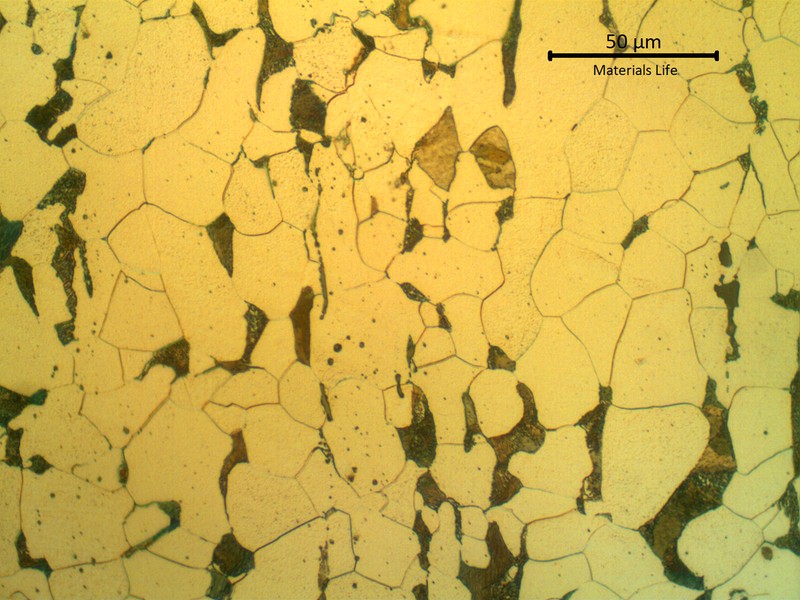 Metallographic detail of the ferritic perlitic structure.