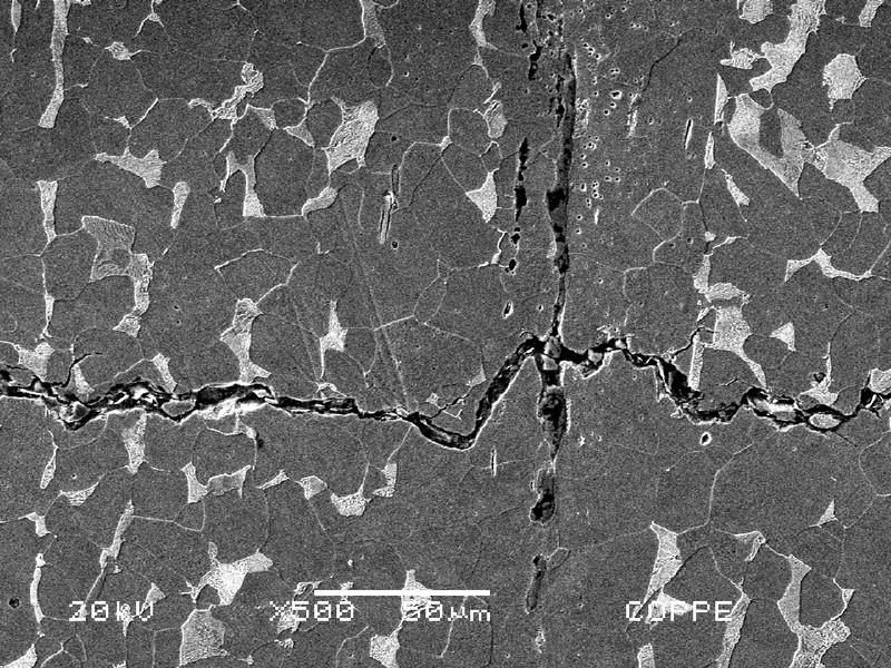 Metallographic aspect by scanning electron microscopy of one secondary cracking, paralell to the fracture surface, growthing with an irregular path and transgranular morphologyy.