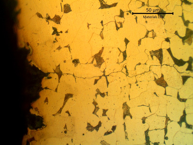 Metallographic aspect of a longitudinal section of the clamp, at the surface (left side of the image) showing a region where there are corrosion pits in the carbon steel clamp, due to the lack of protection by the coating, and the propagation of small transgranular cracks from to the surface.