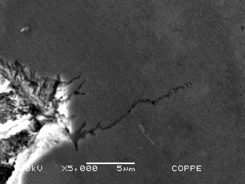 Detail by scanning electron microscopy of the cracks emanating from the pits in the metallographic longitudinal section of the clamp, at the surface (left side of the image).