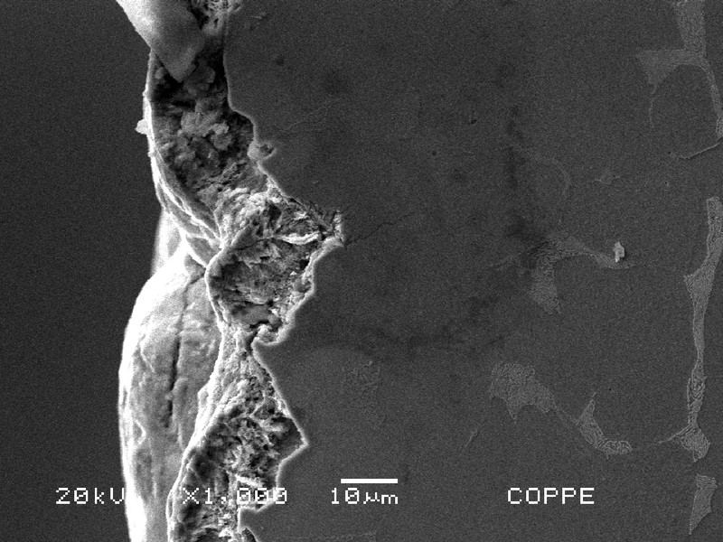 Detail by scanning electron microscopy of the pits in the metallographic longitudinal section of the clamp, at the surface (left side of the image).  There are cracks emanating from the pits.