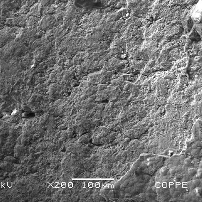 Detail by scanning electron microscop of the clamp surface showing several cracks, parallel.  In this image the cracks appear horizontal, but the photo was taken with the axis of the clamp in the vertical direction which means that the cracks are transverse to the axis.