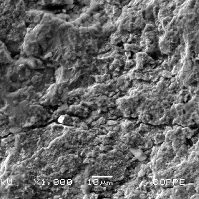 Detailed aspect of the previous figure showing the parallel cracks, transverse to the axis.