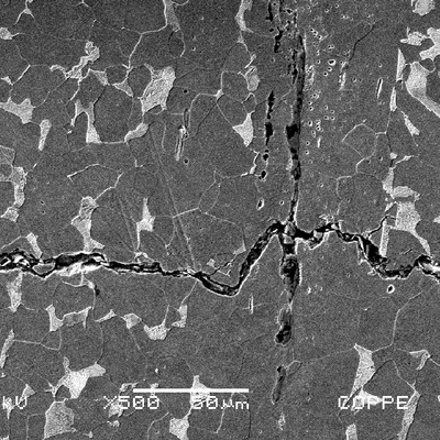 Metallographic aspect by scanning electron microscopy of one secondary cracking, paralell to the fracture surface, growthing with an irregular path and transgranular morphologyy.