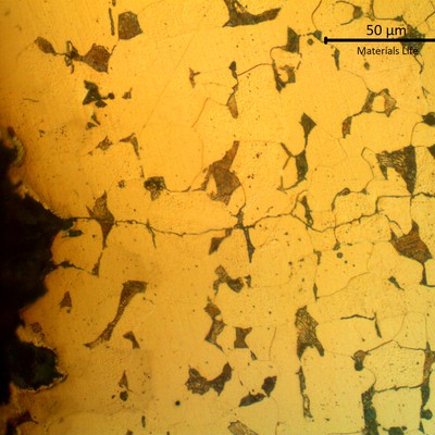 Metallographic aspect of a longitudinal section of the clamp, at the surface (left side of the image) showing a region where there are corrosion pits in the carbon steel clamp, due to the lack of protection by the coating, and the propagation of small transgranular cracks from to the surface.