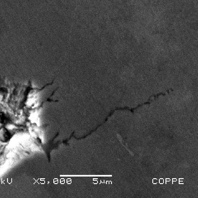 Detail by scanning electron microscopy of the cracks emanating from the pits in the metallographic longitudinal section of the clamp, at the surface (left side of the image).