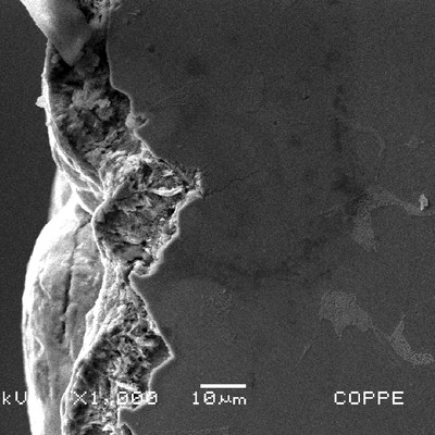 Detail by scanning electron microscopy of the pits in the metallographic longitudinal section of the clamp, at the surface (left side of the image).  There are cracks emanating from the pits.