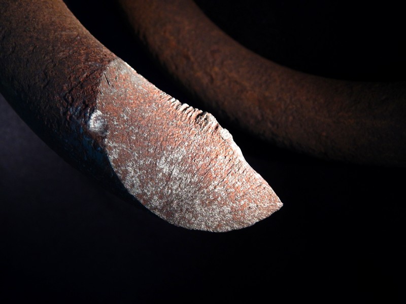 Aspect of the fracture of the spring. The spring surface shows shallow pits.