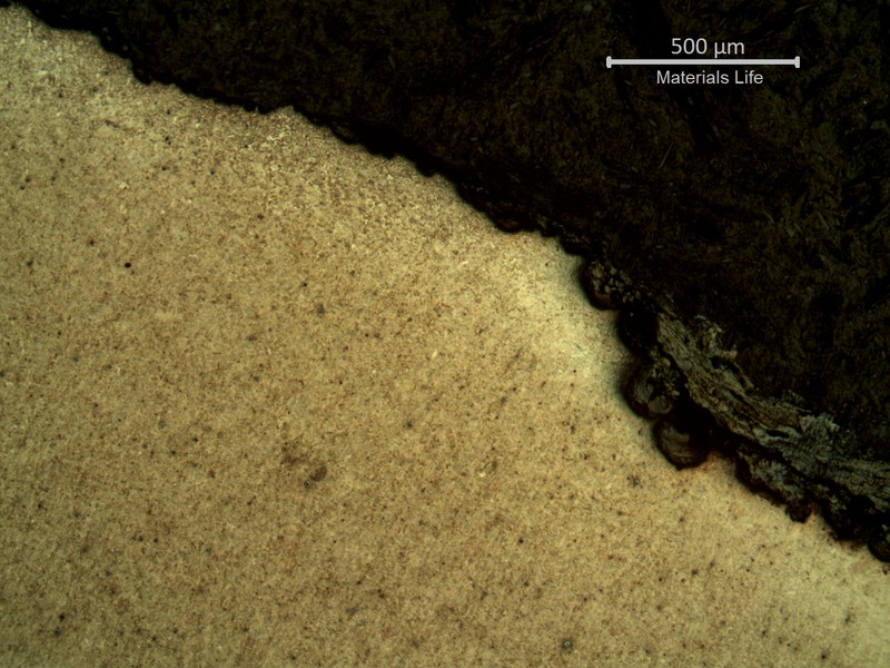 Micrography of a transverse section of the spring, at the surface showing pits full of deposits.