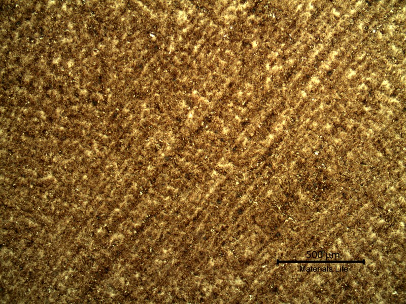 Micrography of the transverse section of the spring wire, in the center, presenting a refined structure and segregation bands that are detected only in low magnification.
