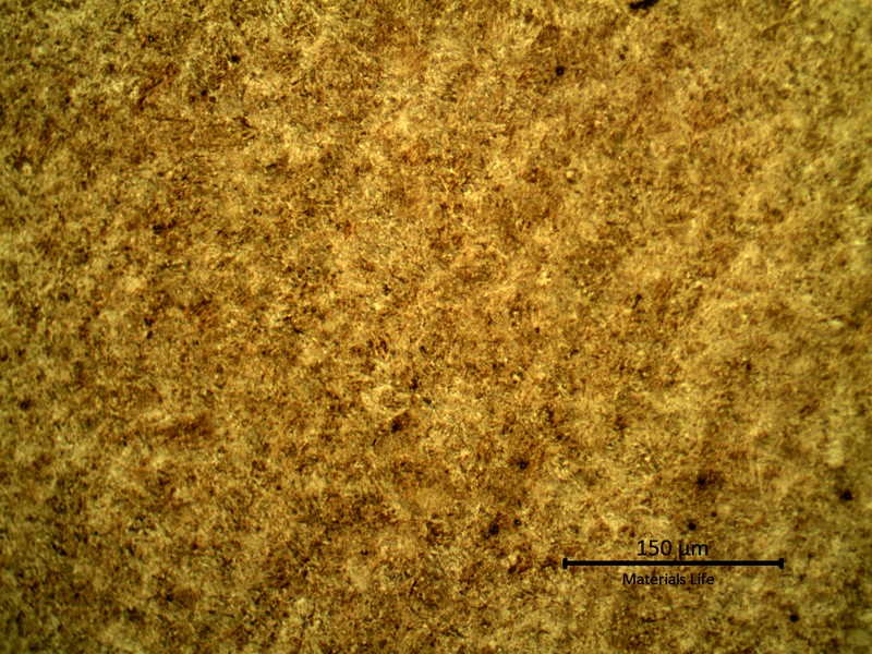 Micrographic detail of the transverse section of the spring wire, martensitic.