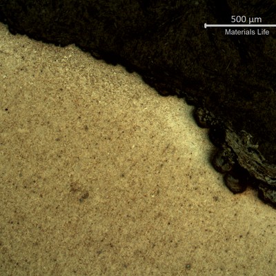 Micrography of a transverse section of the spring, at the surface showing pits full of deposits.