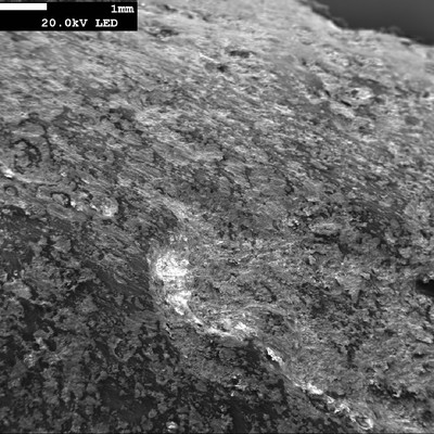 Aspect of the spring surface, with a layer of corroded products, and pits.