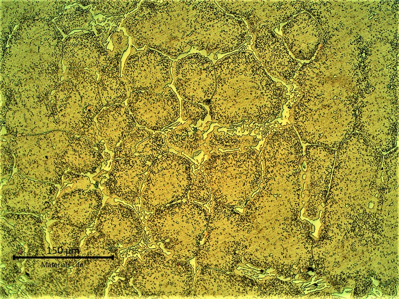 Cast fitting microstructure. The material presented a network of primary carbided and an austenitic matrix with coalescing secondary precipitation.