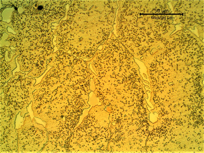 Micrographic detail of the network of primary carbided, white and grey, and an austenitic matrix with coalescing secondary precipitation.