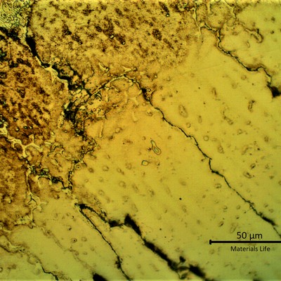 Micrographic detail of the cracks in the weld metal generated from the partially melted region at the fusion line suggesting that a liquation effect propagated a solidification cracking.