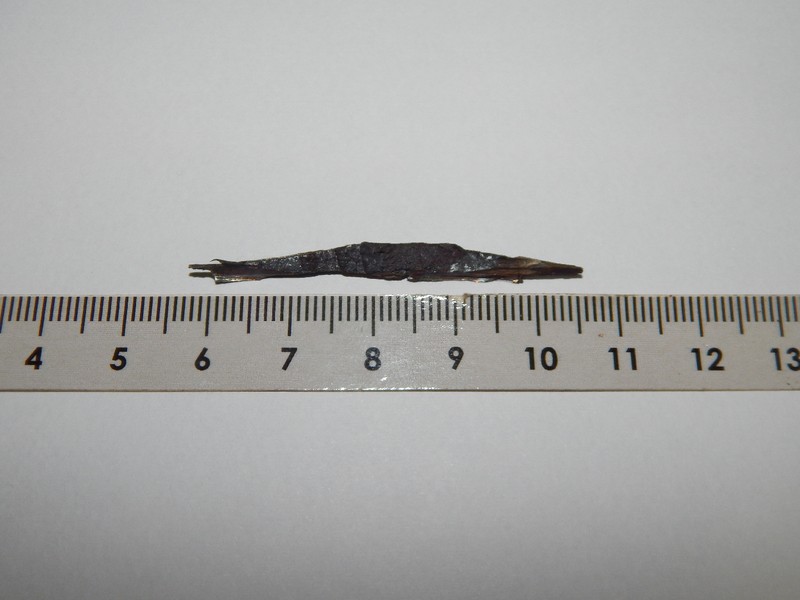 The small sample removed for analysis.  This wedge sample presents three faces: one polished face (that corresponds to the surface), one fractured face and one cut face.
