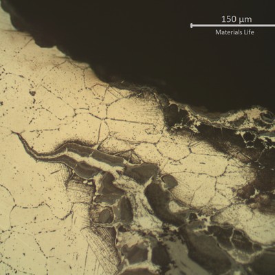 Microstructure of the heat affected zone (weld metal to the left side), exposed to high temperature exhausting gases.  Large austenitic grain size and intergranular cracks fully opened and filled with oxides.