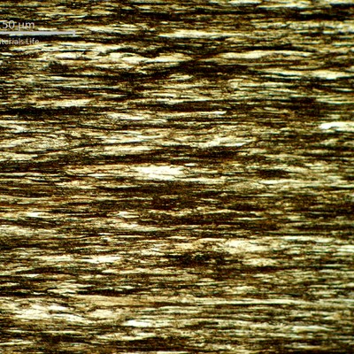 Low magnification micrography of a strain hardened pearlitic structure, in a longitudinal section, of one 3.2mm round wire of one strand.