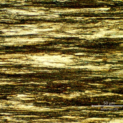 Highly strain hardened pearlitic structure of one external wire, 3.2mm diameter, of one strand.