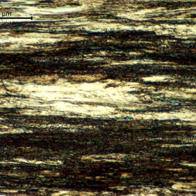 Micrographic detail of the strain hardened pearlitic structure, in a longitudinal section, of a 3.2mm external round wire of one strand.  This structure presented a hardness level about 500 HV (1kg), measured in the center of the thickness in the metallographic section.
