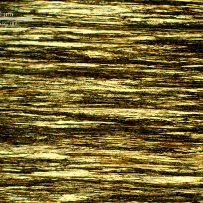 Highly strain hardened pearlitic structure of the 1.6mm round wire of the core.