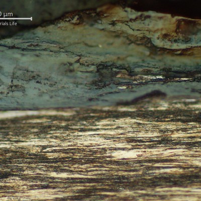 Metallographic detail of the wire surface in one strand external wire, showing the presence of oxides.