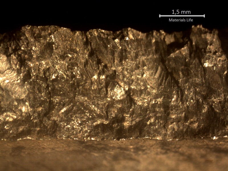 Macroscopic aspect of the fracture surface.