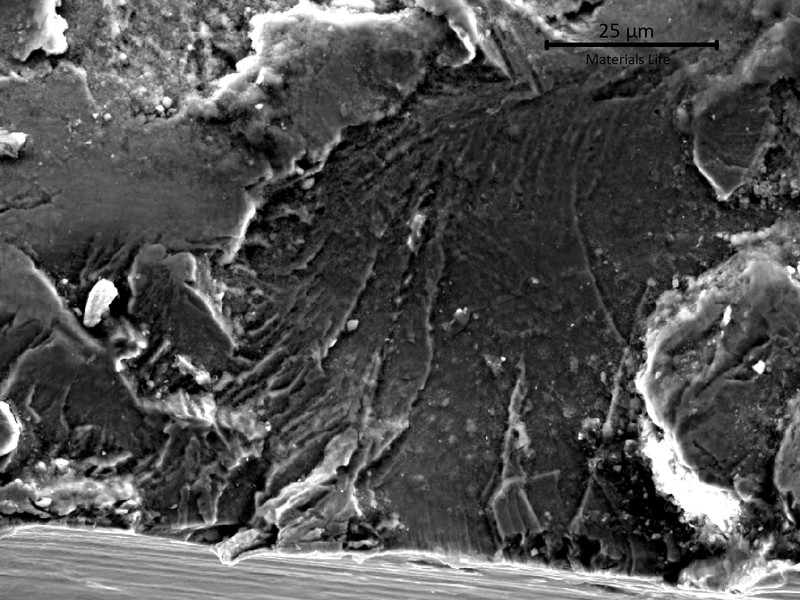 SEM fractograph showing a cleavage facet with radiating river-pattern markings and scattered fine surface particles.