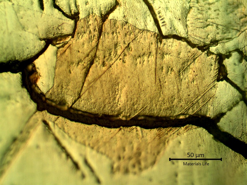 Transgranular and integranular cracks in the alpha matrix full of acicular hydrides .