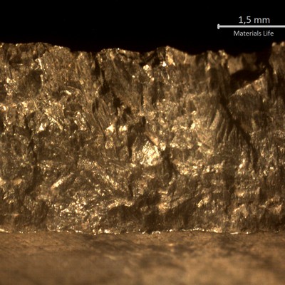 Macroscopic aspect of the fracture surface.