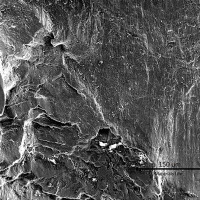 Low magnification image by scanning electron microscopy.  In the bottom of the image the fracture appearance is brittle and presenting several secondary cracks.  In the top  of the image the fracture is fully flat, also without macroscopic plastic deformation.