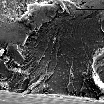 The position of the fracture at the starting point of the failure is brittle, transgranular, with a cleavage/quase-cleavage morphology.