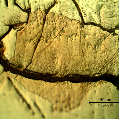 Transgranular and integranular cracks in the alpha matrix full of acicular hydrides .