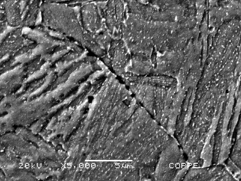 Detail of the cold cracking at the previous austenite grain boundary of the martensitic structure.