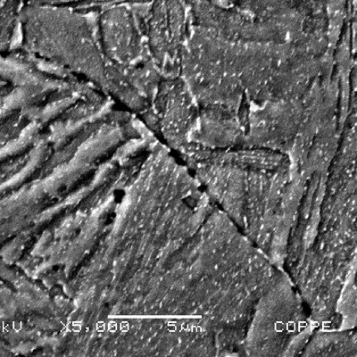 Detail of the cold cracking at the previous austenite grain boundary of the martensitic structure.