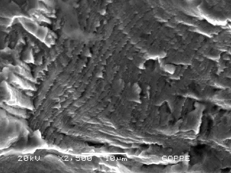 Fractography showing propagation by fatigue. Striation.