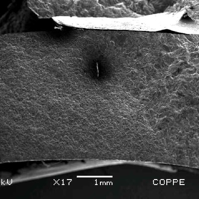 Aspect of the opened crack by scanning electron microscopy, showing the coarser structure in the weld (right side of the figure).